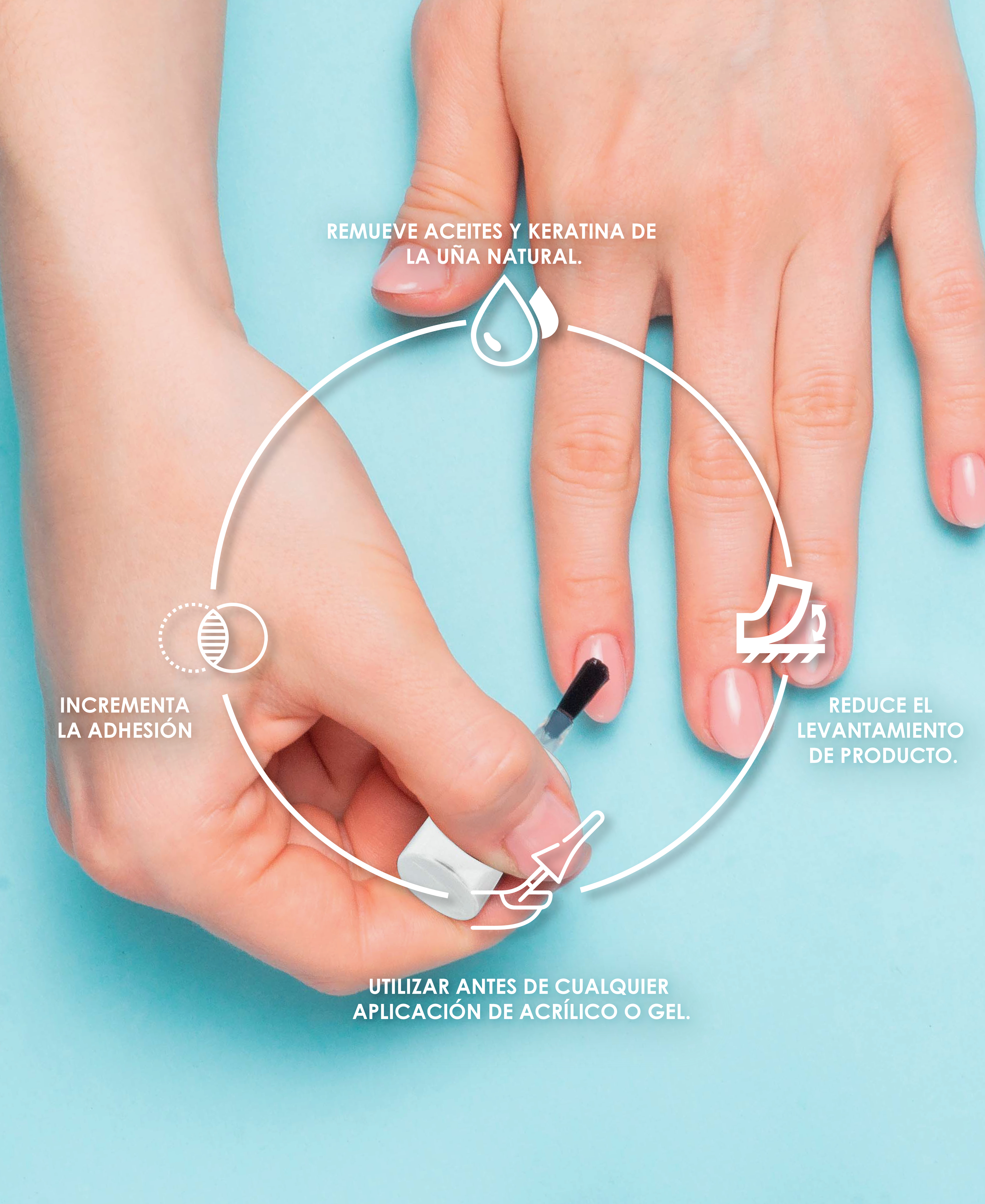 Anatomía de las Uñas: Cómo los Productos de LEGACY NAILS Ofrecen el Mejor Cuidado 7 CARRUSEL DESHIDRATADOR DE UNAS 02 1